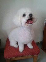 /album/quelques-photos-/gaby-toilet-2015-jpg/